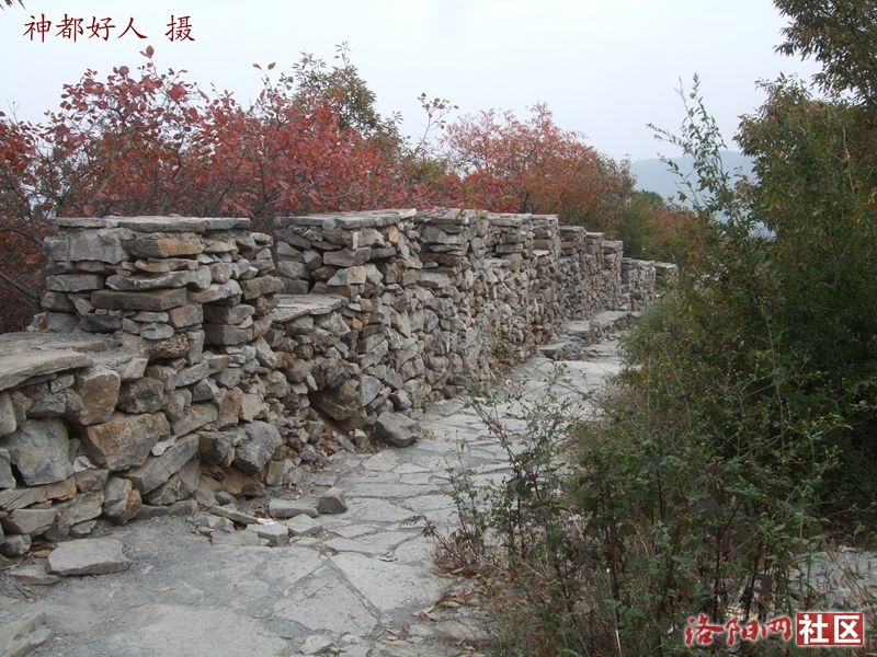 DSCF4070.JPG