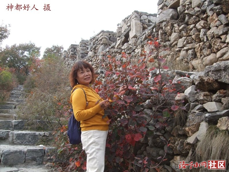 DSCF4075.JPG