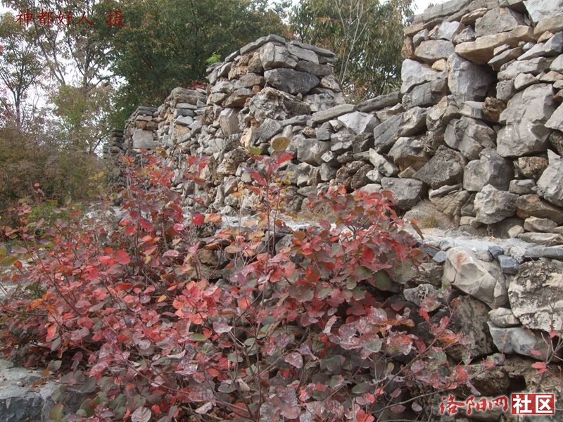 DSCF4077.JPG