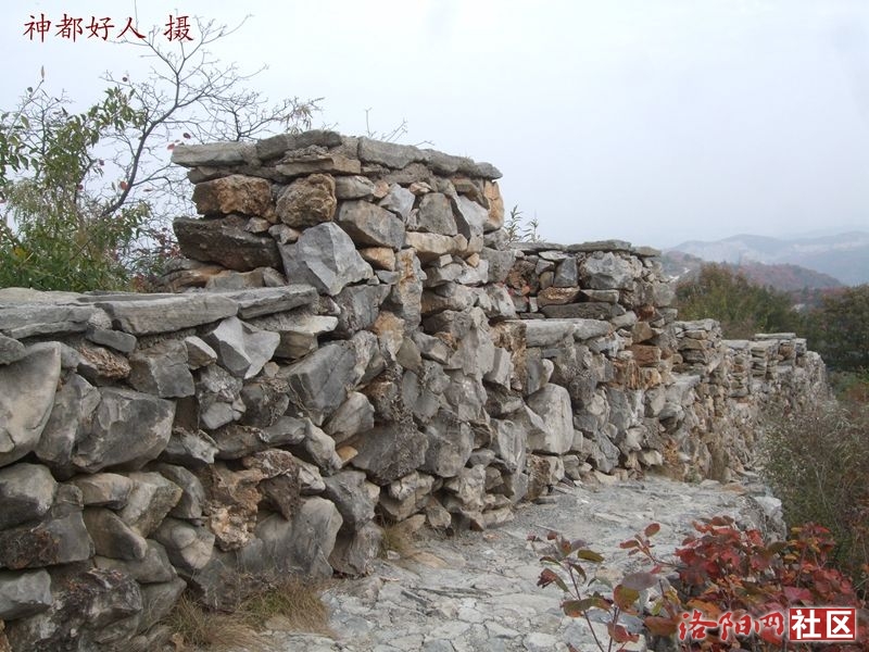 DSCF4079.JPG