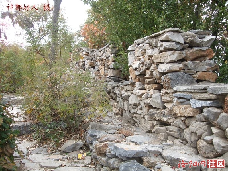 DSCF4080.JPG