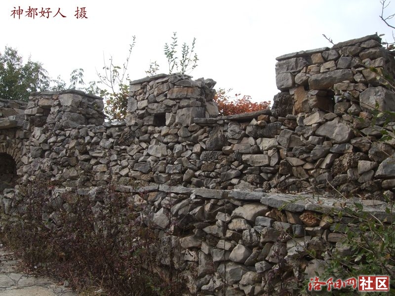 DSCF4081.JPG