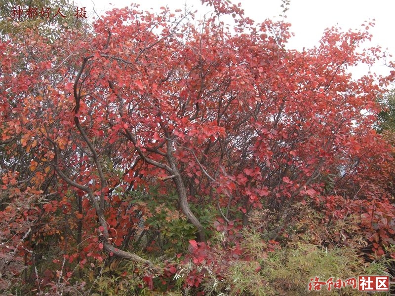 DSCF4082.JPG