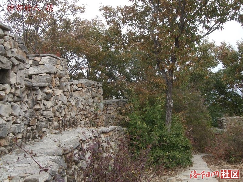 DSCF4084.JPG
