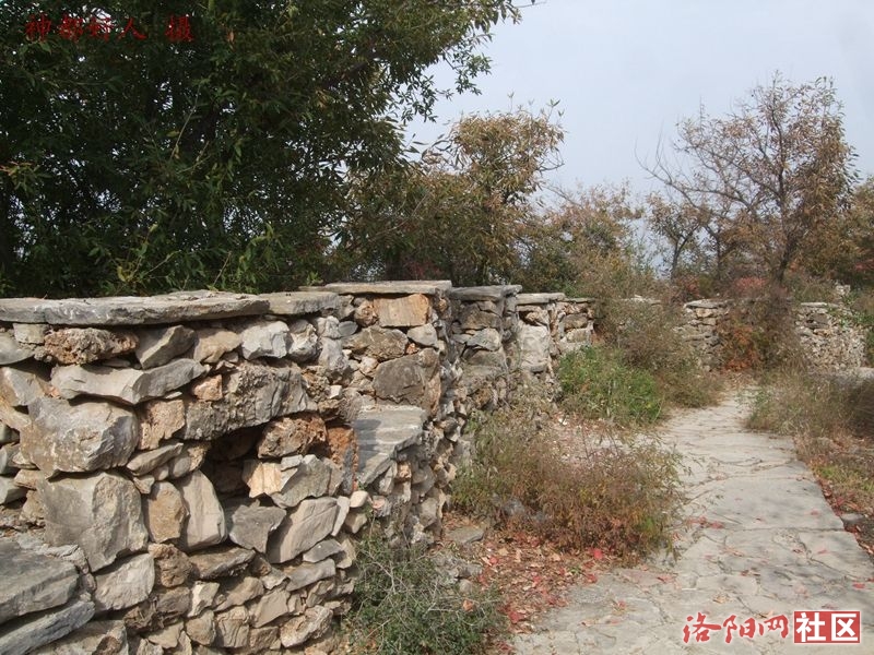 DSCF4085.JPG