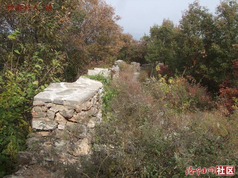 DSCF4086.JPG
