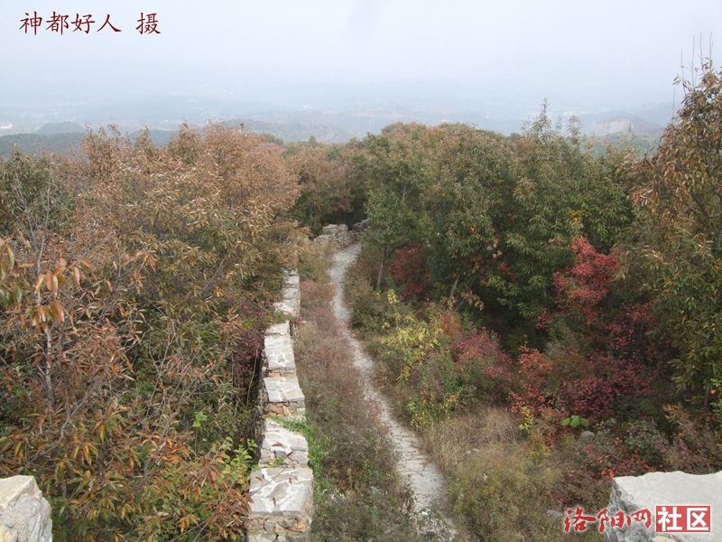 DSCF4087.JPG
