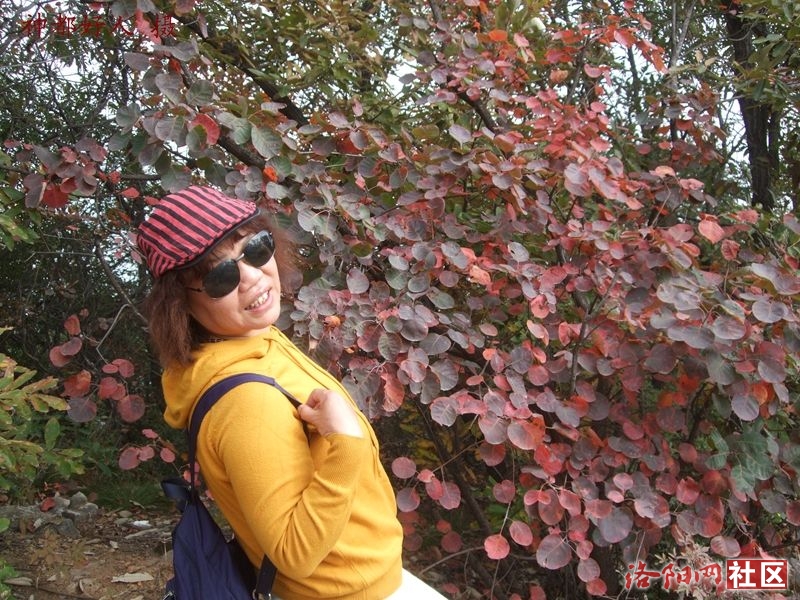 DSCF4106.JPG