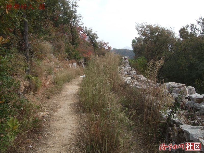 DSCF4107.JPG