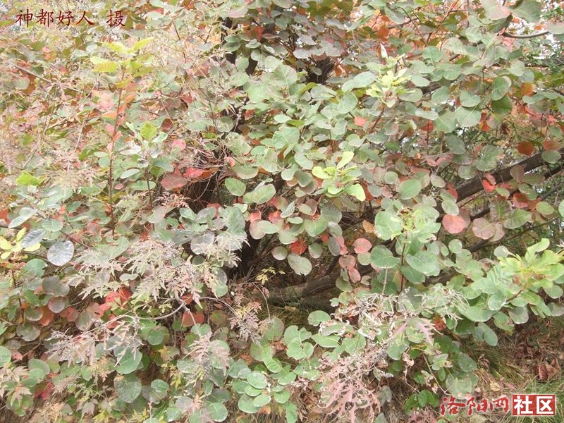 DSCF4110.JPG