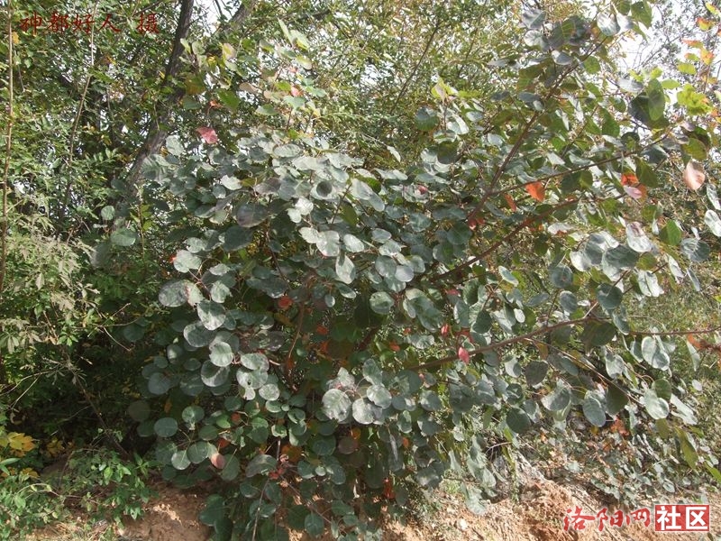 DSCF4111.JPG