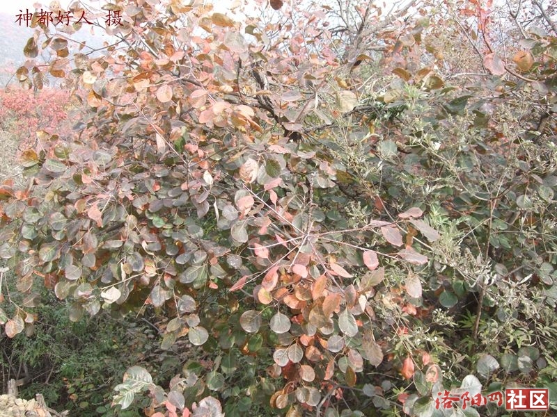 DSCF4113.JPG