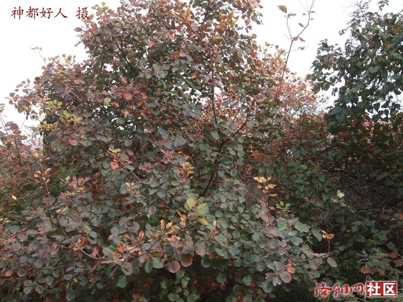 DSCF4114.JPG