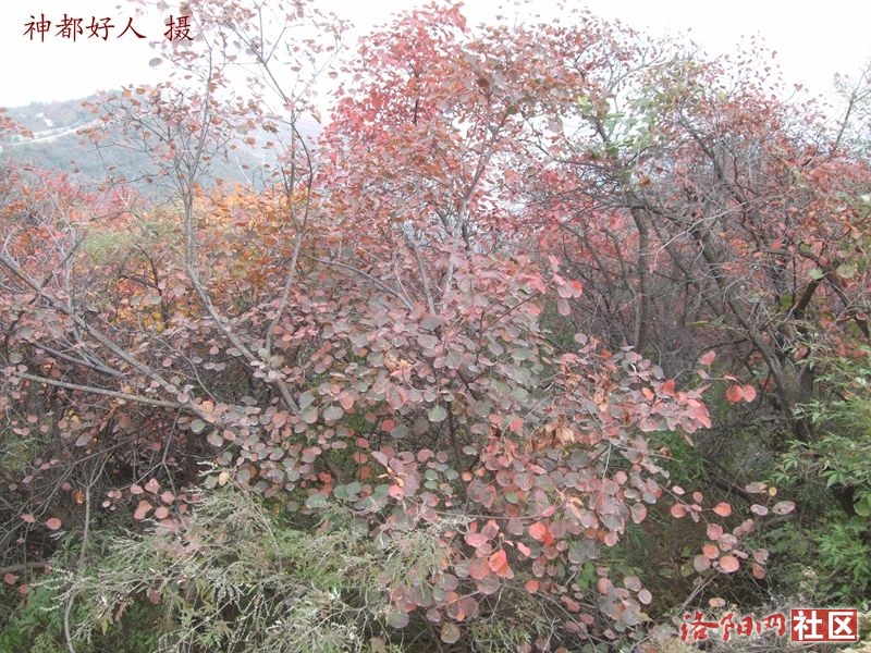 DSCF4115.JPG