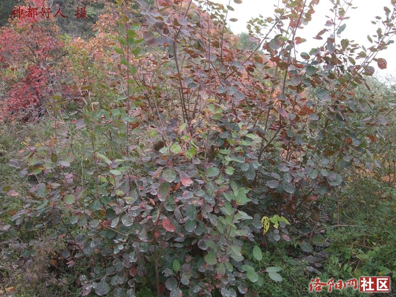 DSCF4116.JPG