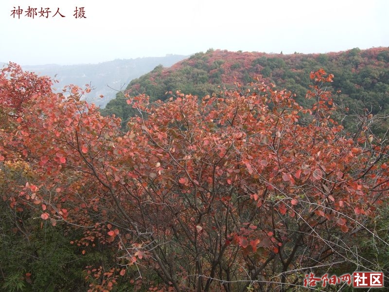 DSCF4117.JPG