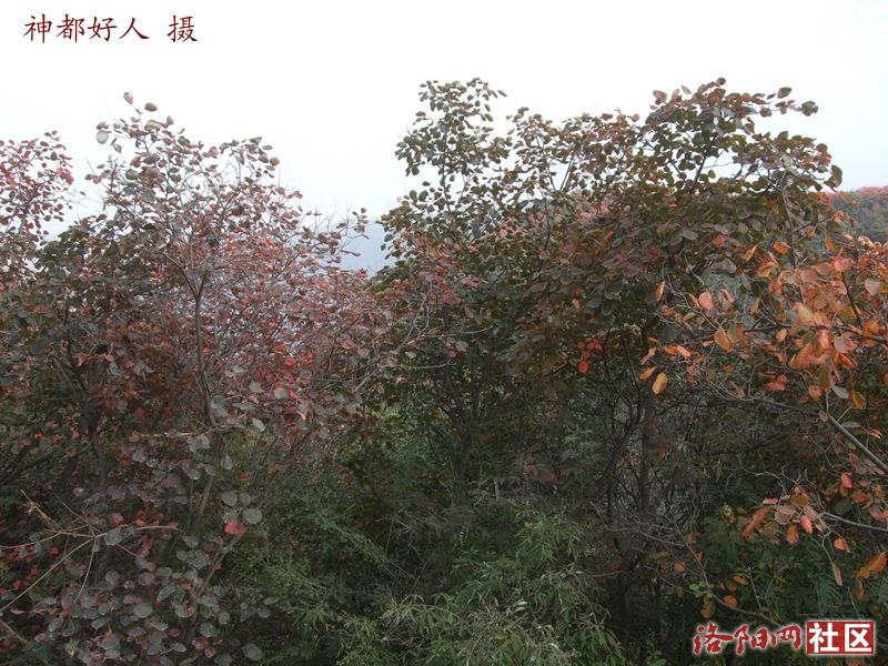 DSCF4118.JPG