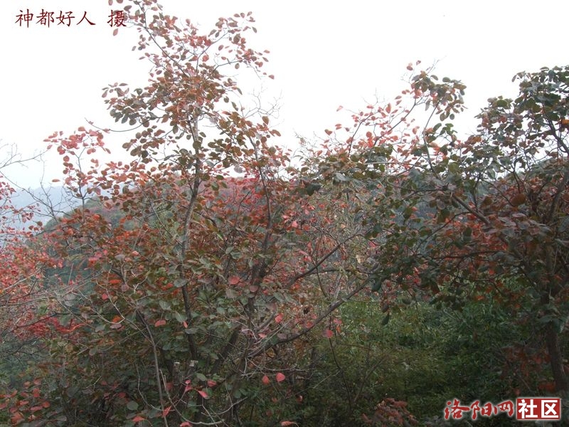 DSCF4119.JPG