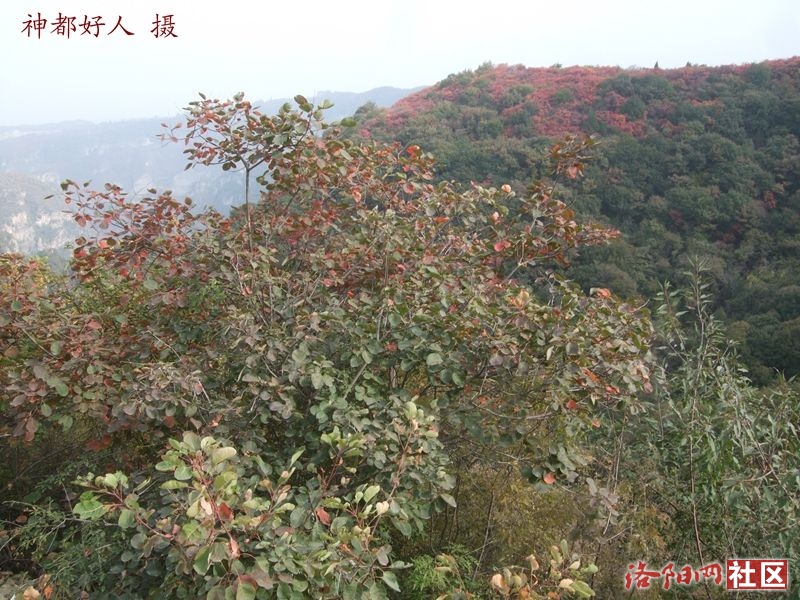 DSCF4120.JPG