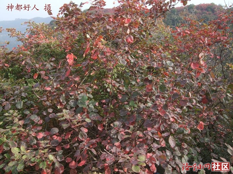 DSCF4121.JPG