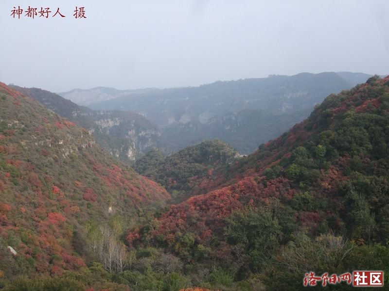 DSCF4125.JPG