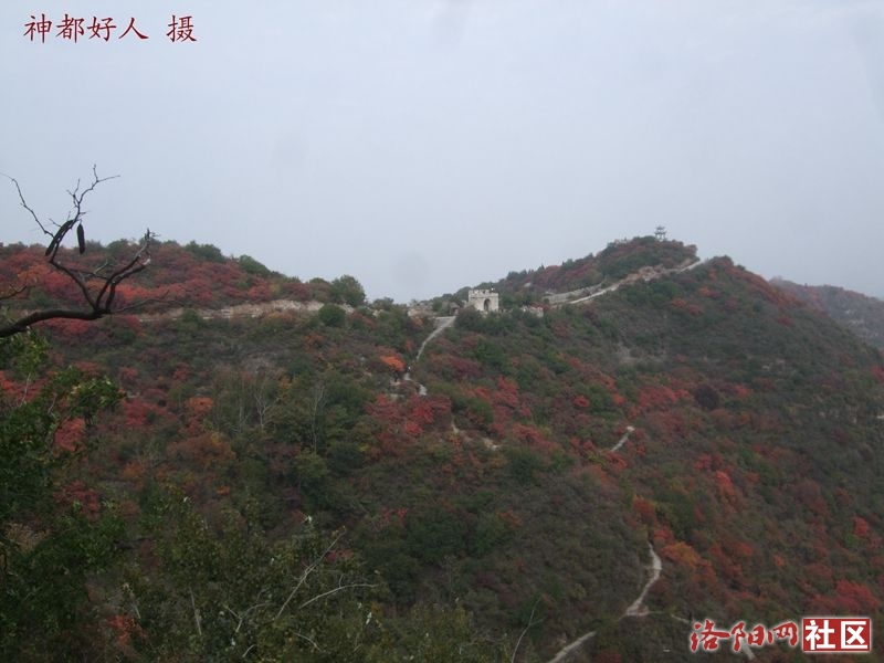 DSCF4127.JPG