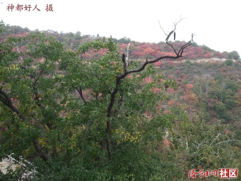 DSCF4128.JPG
