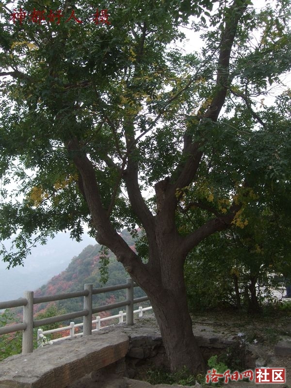 DSCF4139.JPG