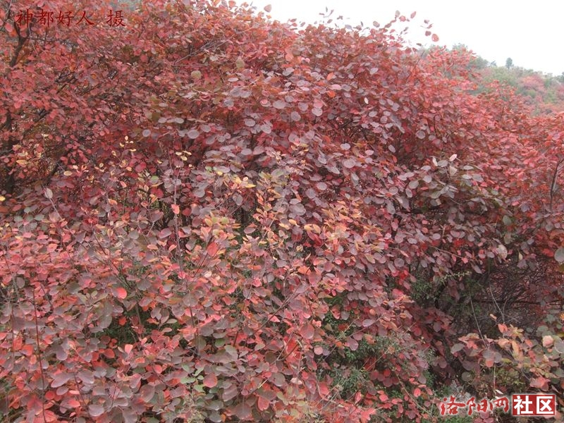 DSCF4140.JPG