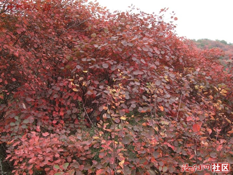 DSCF4143.JPG