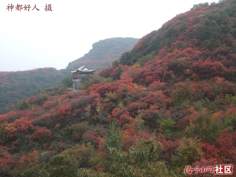 DSCF4148.JPG