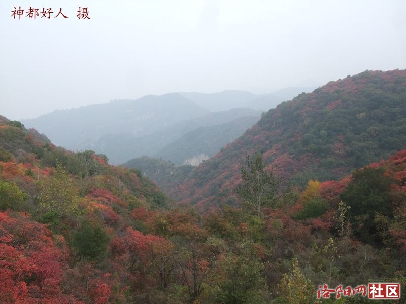 DSCF4149.JPG