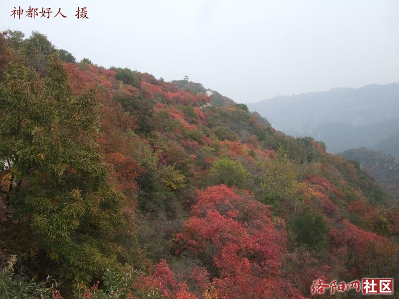 DSCF4150.JPG