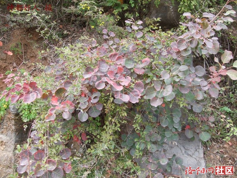 DSCF4151.JPG