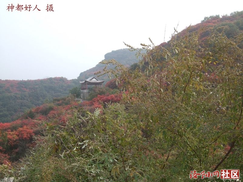 DSCF4152.JPG