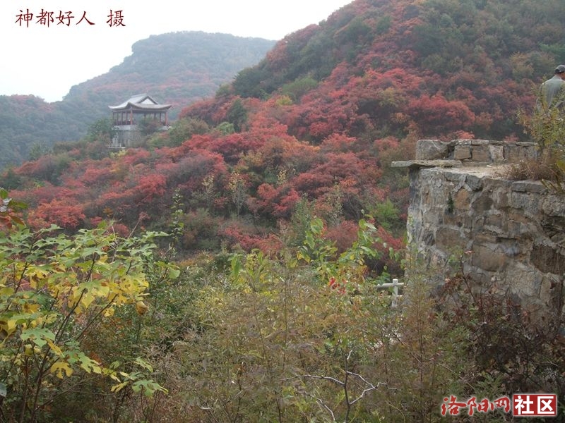 DSCF4153.JPG