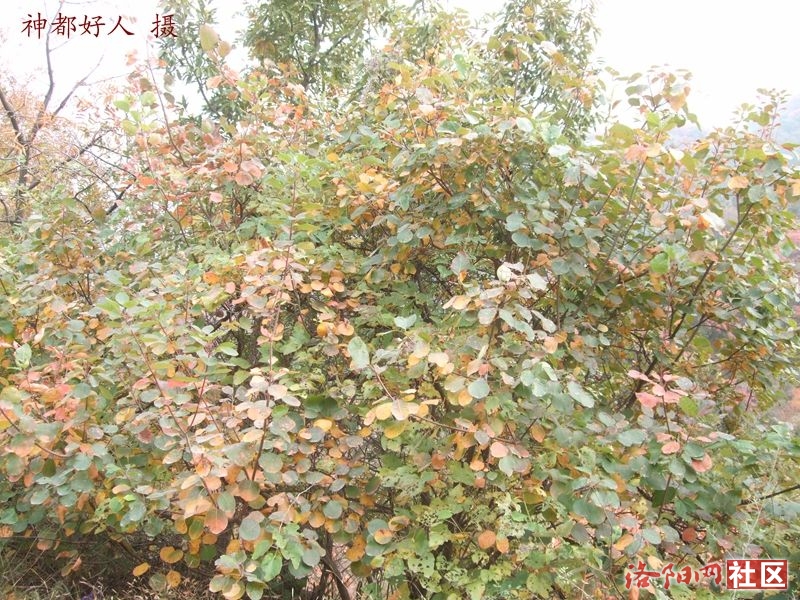 DSCF4154.JPG