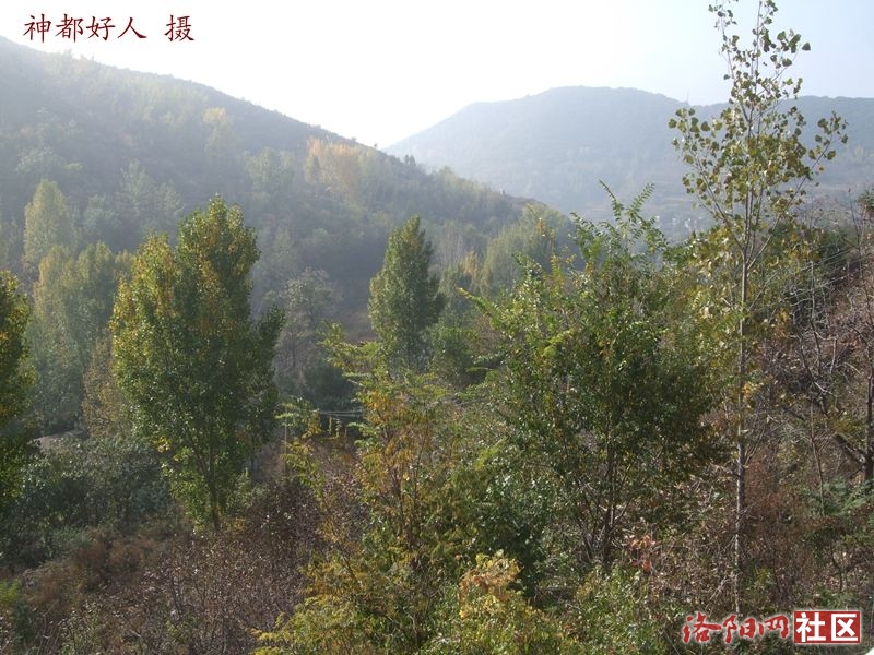 DSCF4006.JPG