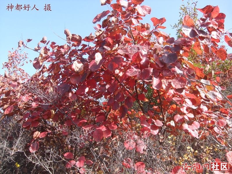 DSCF4021.JPG