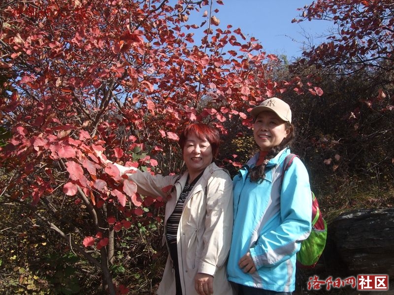 DSCF4022.JPG
