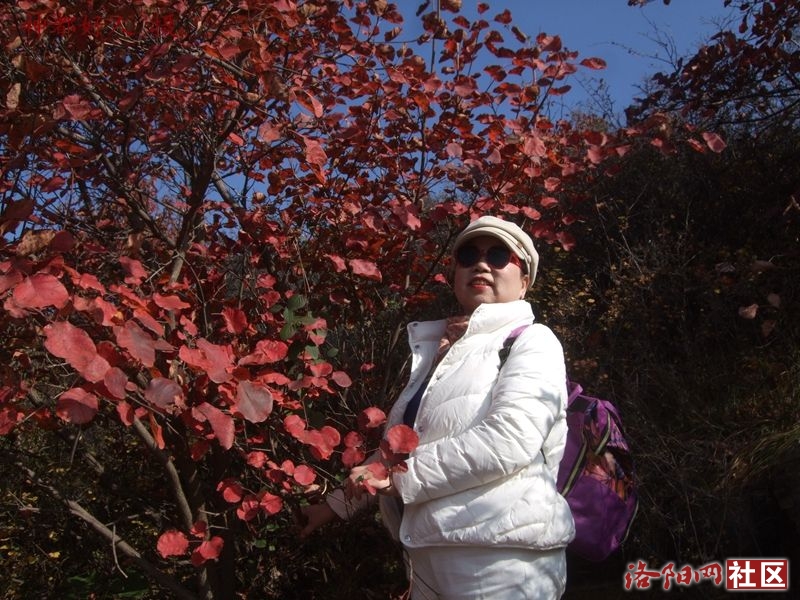DSCF4025.JPG