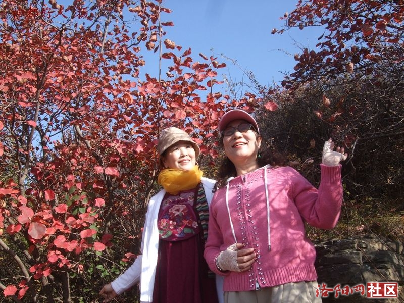 DSCF4026.JPG