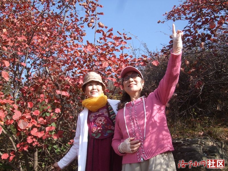 DSCF4027.JPG