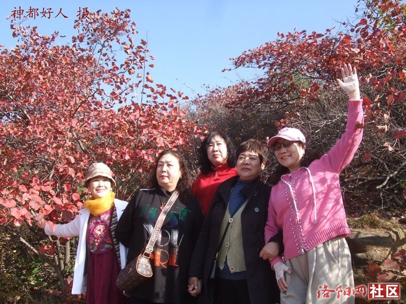 DSCF4028.JPG