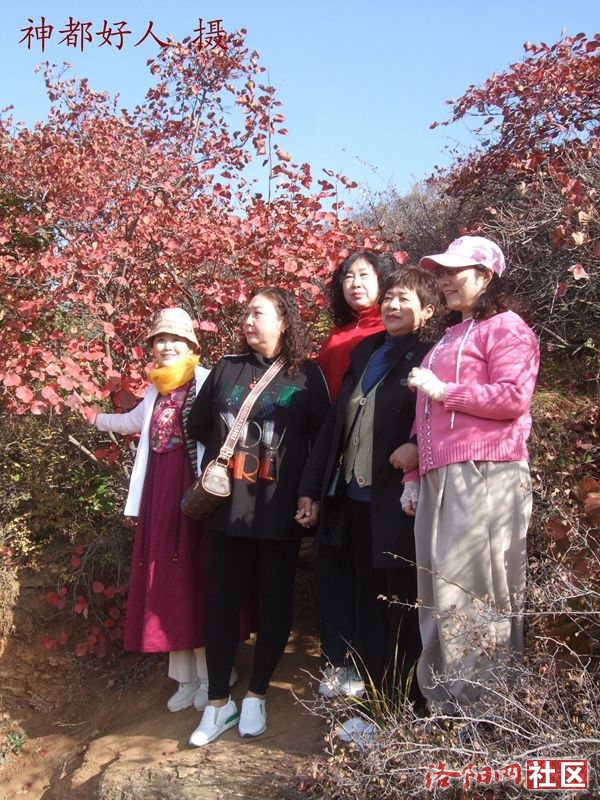 DSCF4029.JPG