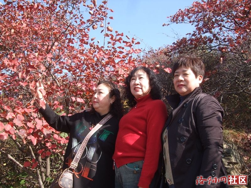 DSCF4030.JPG