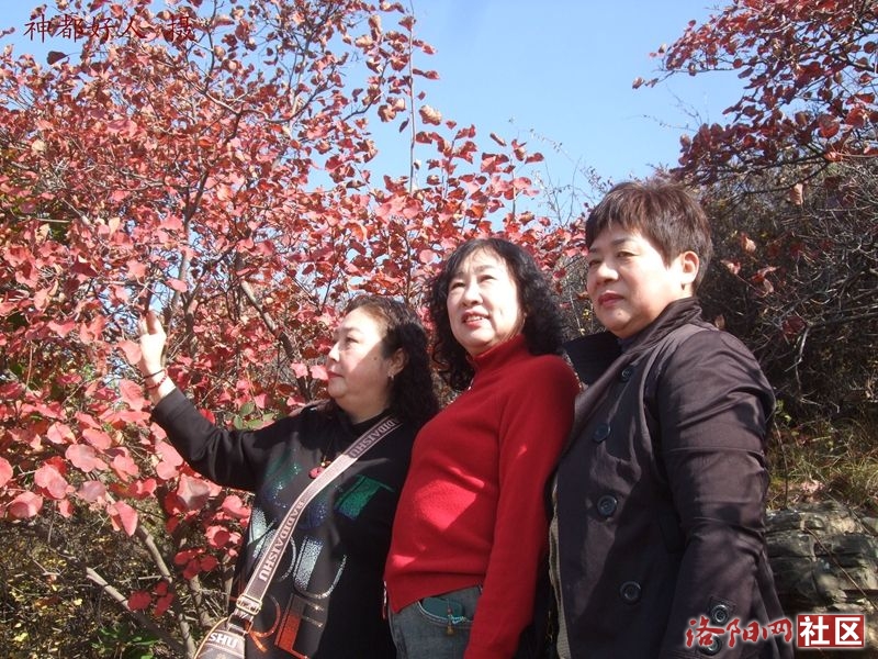 DSCF4031.JPG