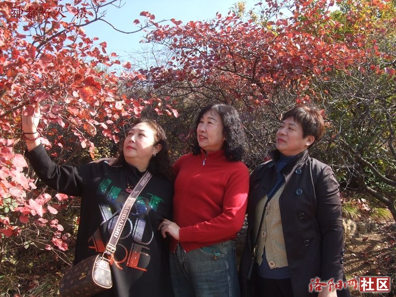 DSCF4032.JPG