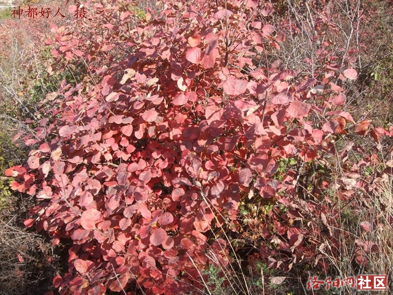 DSCF4033.JPG