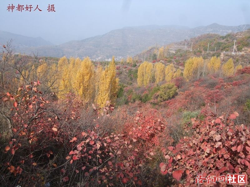 DSCF4035.JPG